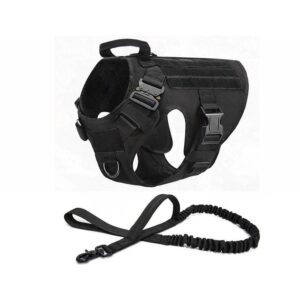 Kit Arnés + Correa Elástica